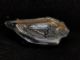 Mitsubishi L200/Triton KL1T 2015-on R Headlight (Halogen)