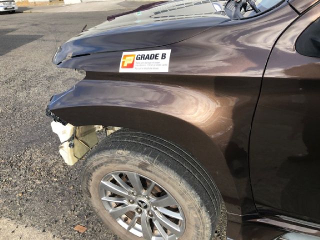 Mitsubishi Pajero Sport KS1 LF Guard/Fender