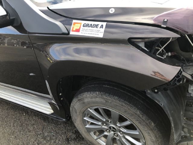Mitsubishi Pajero Sport KS1 RF Guard/Fender